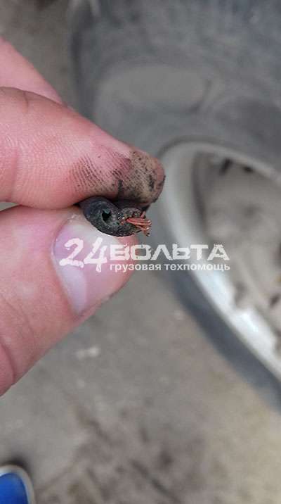 Ремонт электропроводки грузовых